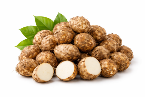 koorkka / കൂർക്ക