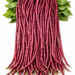 red payar ചുവന്ന പയർ