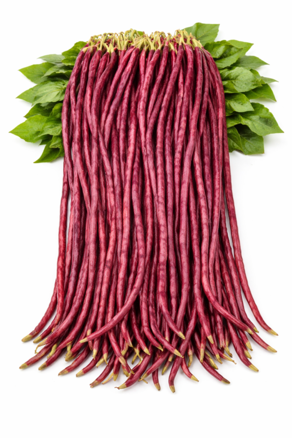 red payar ചുവന്ന പയർ