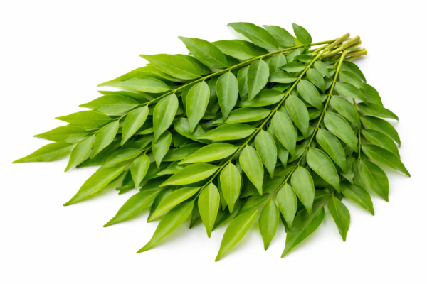 veppilaa bunch വെപ്പില കെട്ട്